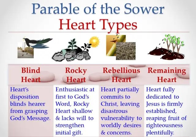 Types of Hearts